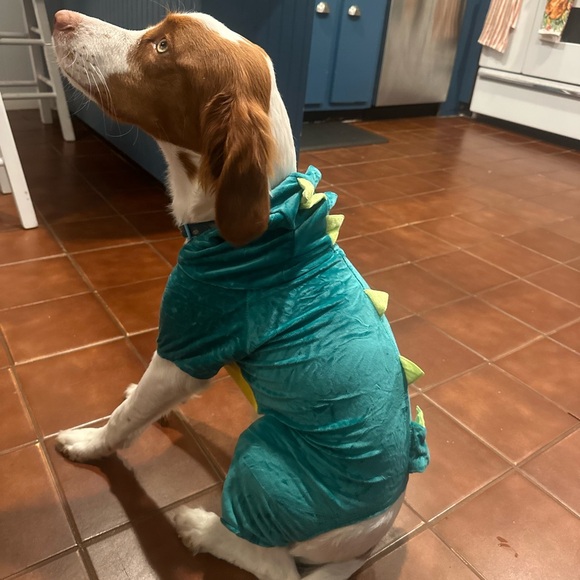 NACOCO Dog Dinosaur Design Costume Green Pet Clothes for Medium - Picture 5 of 6